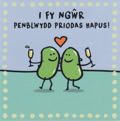 I Fy Ngwr, Penblwydd Priodas Hapus!