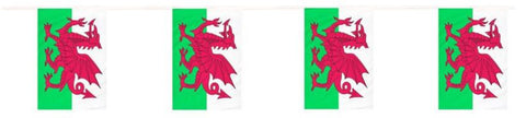 10m Wales Flag Bunting|Bynting Baner Cymru