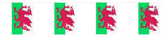 10m Wales Flag Bunting|Bynting Baner Cymru