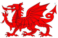 12pk Wales Tatoos|Tatŵ Cymru