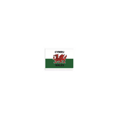 Welsh Flag Eraser|Rhwbiwr Baner Cymru