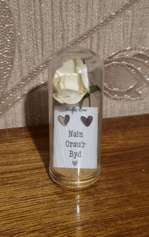 Nain Orau'r Byd Earrings|Clustdlysau Nain Orau'r Byd