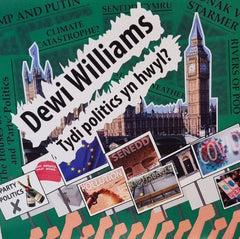 Dewi Williams, Tydi Politics yn Hwyl?