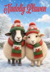 Nadolig Llawen (pack)|Nadolig Llawen (pecyn)
