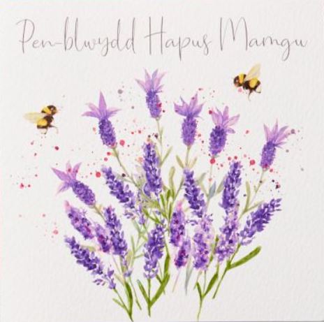Pen-blwydd Hapus Mamgu