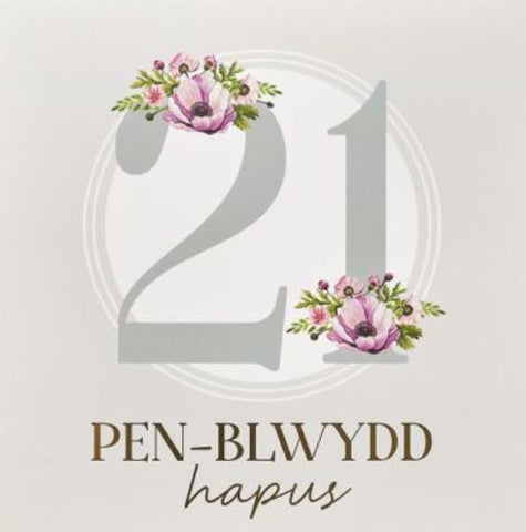 Pen-blwydd Hapus - 21