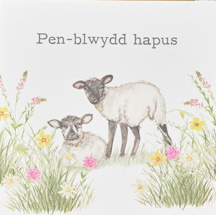 Pen-blwydd Hapus