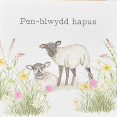 Pen-blwydd Hapus