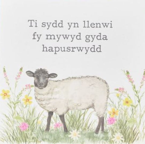 Ti sydd yn llenwi fy mywyd gyda hapusrwydd