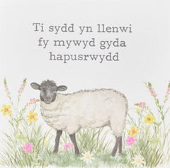 Ti sydd yn llenwi fy mywyd gyda hapusrwydd