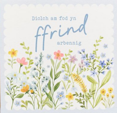 Diolch am fod yn Ffrind Arbennig