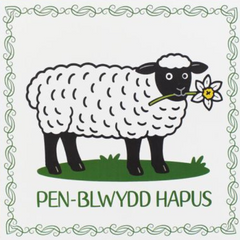 Pen-blwydd Hapus