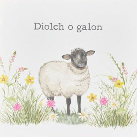Diolch o Galon