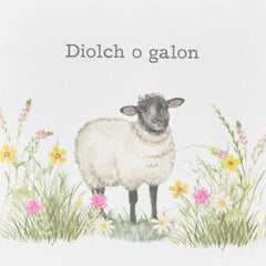 Diolch o Galon