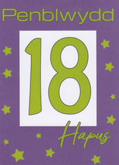 Penblwydd Hapus - 18