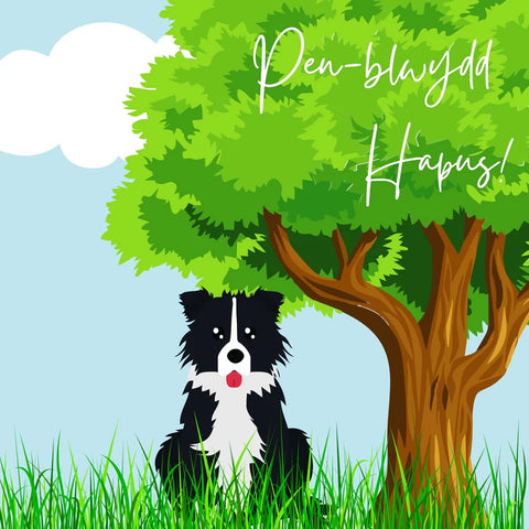 Pen-blwydd Hapus