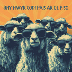 Rhy Hwyr Codi Pais ar ol Piso