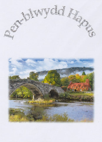 Pen-blwydd Hapus