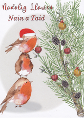 Nadolig Llawen Nain a Taid