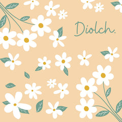 Diolch