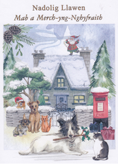 Nadolig Llawen Mab a Merch-yng-Nghyfraith
