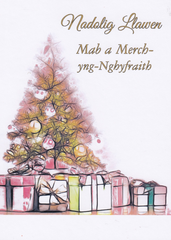 Nadolig Llawen Mab a Merch-yng-Nghyfraith