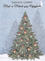 Nadolig Llawen Mab a Merch-yng-Nghyfraith