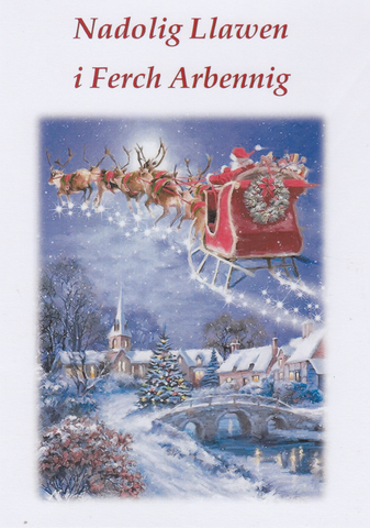 Nadolig Llawen i Ferch Arbennig