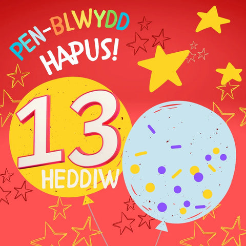 Penblwydd Hapus - 13