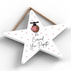 Cariad yw Popeth Hanging Plaque|Addurn Cariad yw Popeth