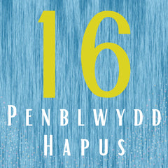 Penblwydd Hapus - 16