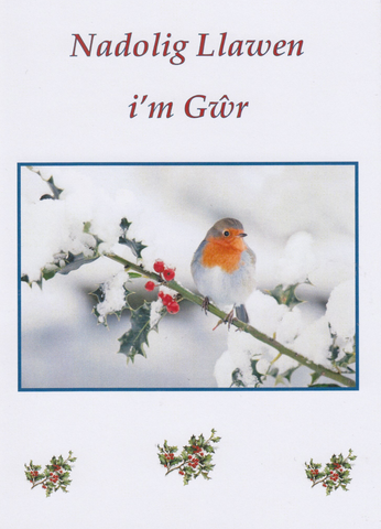 Nadolig Llawen i'm Gŵr