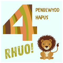 Penblwydd Hapus - 4