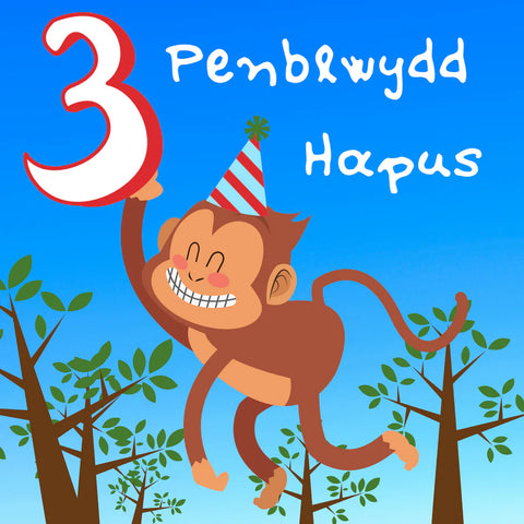 Pen-blwydd Hapus - 3