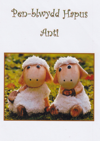 Pen-blwydd Hapus Anti