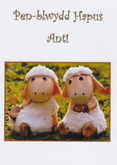 Pen-blwydd Hapus Anti