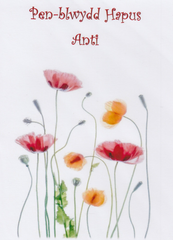 Pen-blwydd Hapus Anti