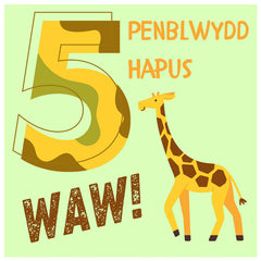 Penblwydd Hapus - 5