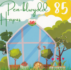 Pen-blwydd Hapus 85