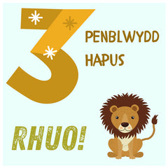Penblwydd Hapus - 3
