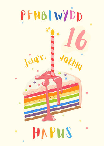 Penblwydd Hapus - 16