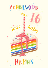 Penblwydd Hapus - 16