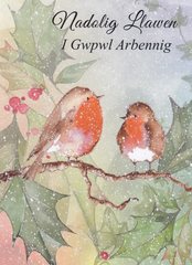 Nadolig Llawen i Gwpwl Arbennig