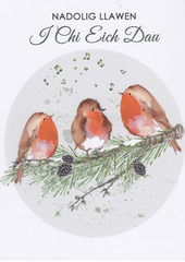 Nadolig Llawen i chi eich dau