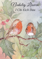 Nadolig Llawen i chi eich dau