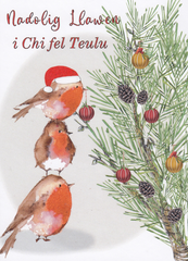 Nadolig Llawen i chi fel Teulu