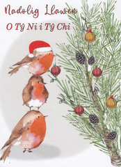 Nadolig Llawen o'n Ty Ni i'ch Ty Chi