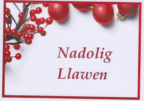 Nadolig Llawen (pack)|Nadolig Llawen (pecyn)