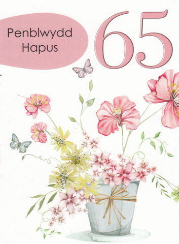 Penblwydd Hapus - 65
