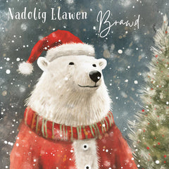 Nadolig Llawen Brawd